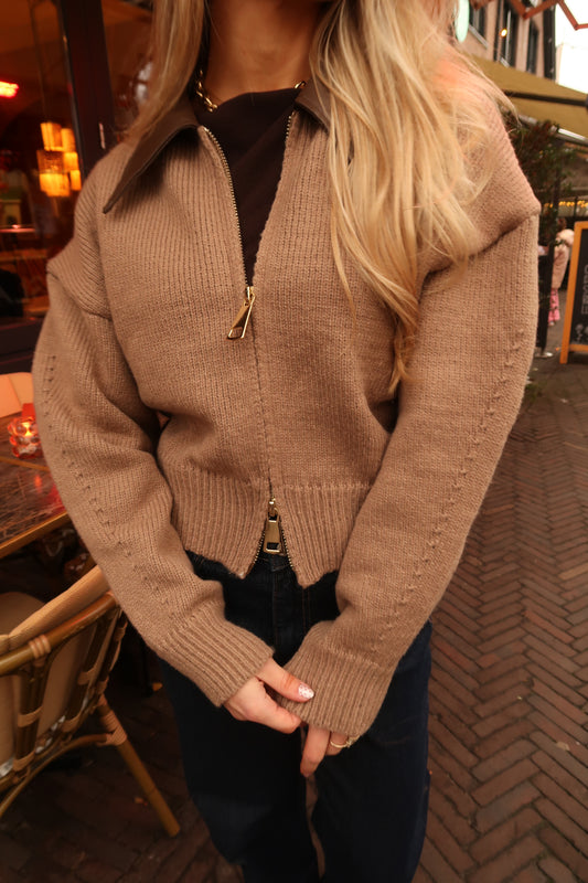 BRUIN VEST MET LEREN KRAAG