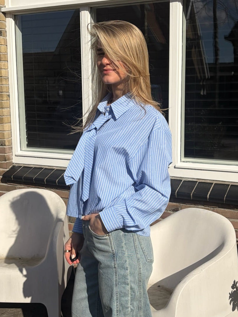 MAAN CROPPED BLOUSE MET STROPDAS | BLAUW WIT GESTREEPT MET STRASS